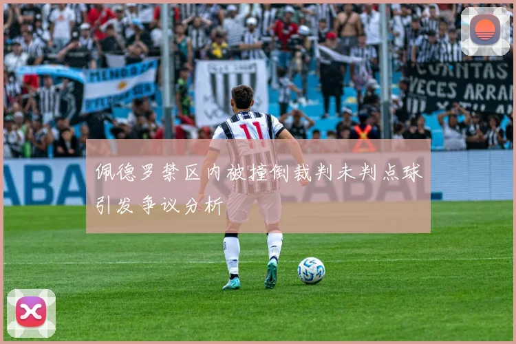 佩德罗禁区内被撞倒裁判未判点球引发争议分析